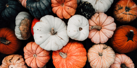 A close-up photograph of pumpkins, in varying sizes and colors including white, orange, and black, stacked together in a pile. 