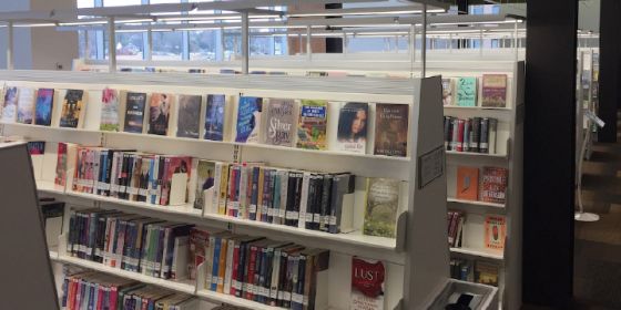 image of books on library shelving